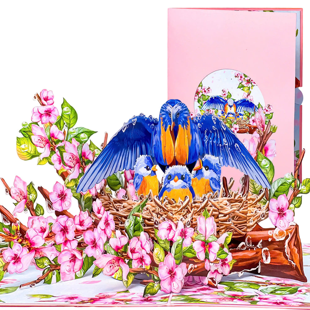 Mother Bird Pop Up Card – 3D Bluebird Nest with Baby Birds and Pink Blossoms – Heartwarming Mother’s Day, Birthday, Thank You Greeting Card for Mom, Grandma, Wife, Her, Nature Lovers