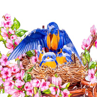 Mother Bird Pop Up Card – 3D Bluebird Nest with Baby Birds and Pink Blossoms – Heartwarming Mother’s Day, Birthday, Thank You Greeting Card for Mom, Grandma, Wife, Her, Nature Lovers